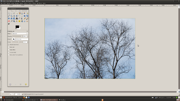 Opening an Image using GIMP