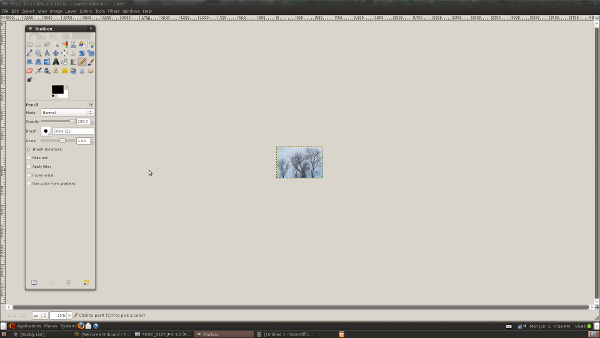 Resized Image Using GIMP