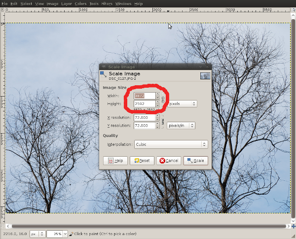 Parameter Options of GIMP