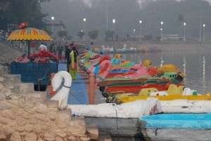 travel, chandigarh, ducks, sukhna lake Boating and Yachting in Sukhna Lake Chandigarh