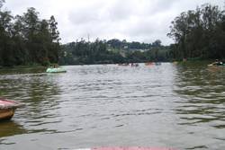 Boat House, Ooty Boat House, Ooty