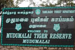 Mudumalai National Park, Ooty Mudumalai National Park, Ooty