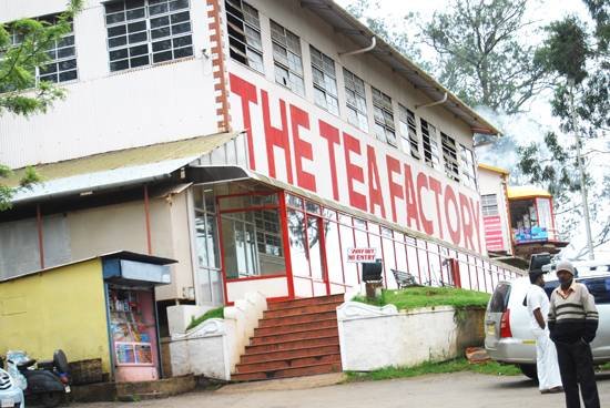 Tea Factory, Ooty Tea Factory, Ooty
