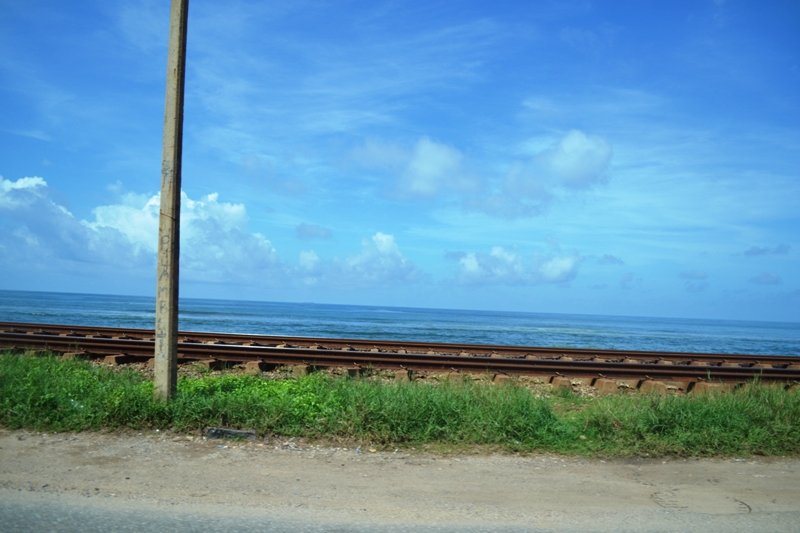 DSC_0002_1