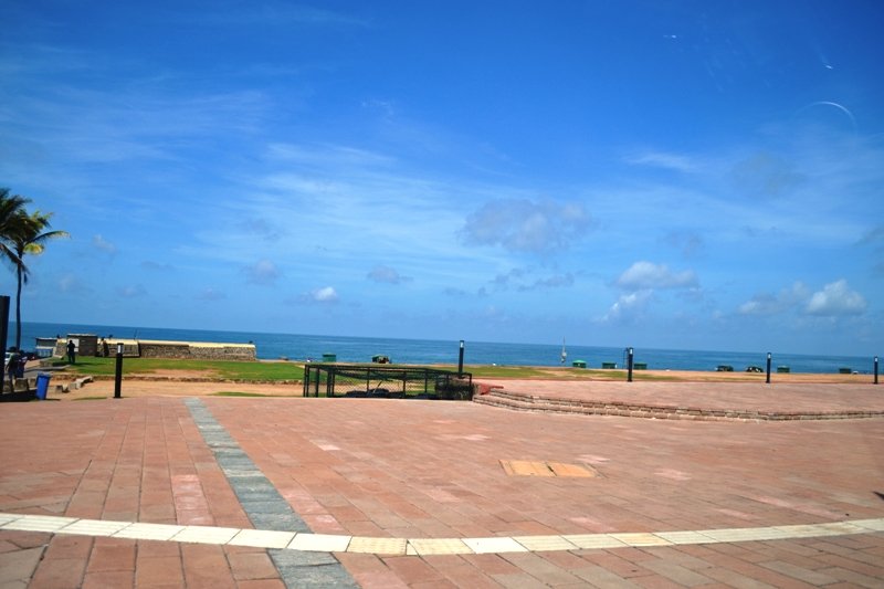 DSC_0011_1
