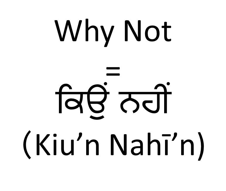 how-to-say-why-not-in-punjabi