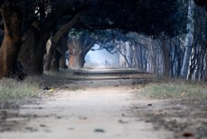 Nabha (2)