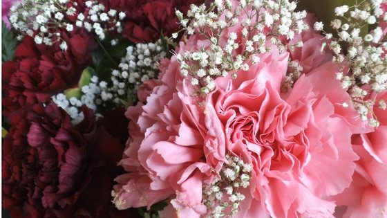 How to Grow your Own Flowers and Sell Them
