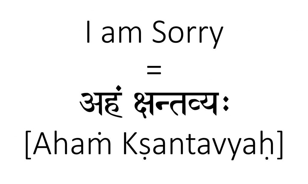 How to say I am sorry in Sanskrit
