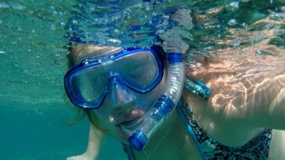 Snorkel Ideas