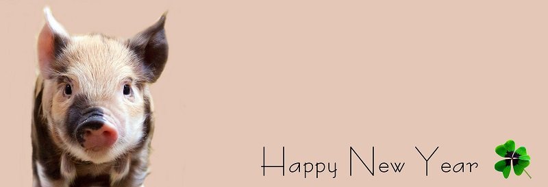 How to say happy new year in Malayalam