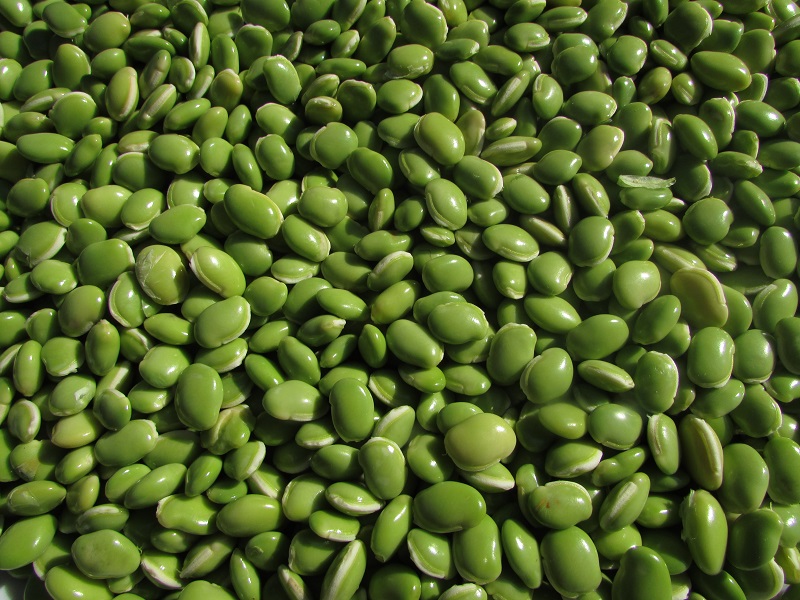 names-of-pulses-in-malayalam-from-english