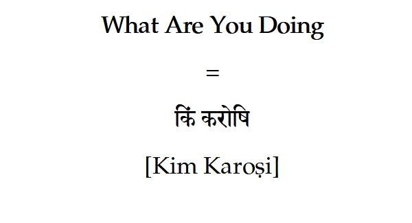What are you doing in Sanskrit